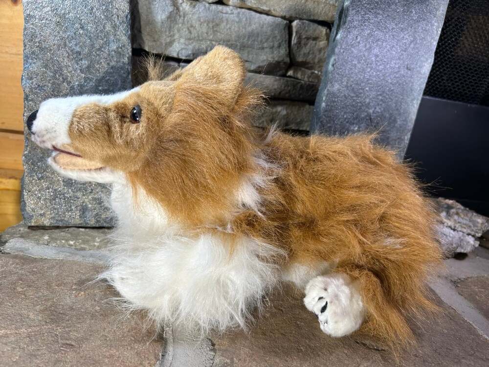 My Twin Posable Pet Dog Realistic Collie/ Corgi Working Joints